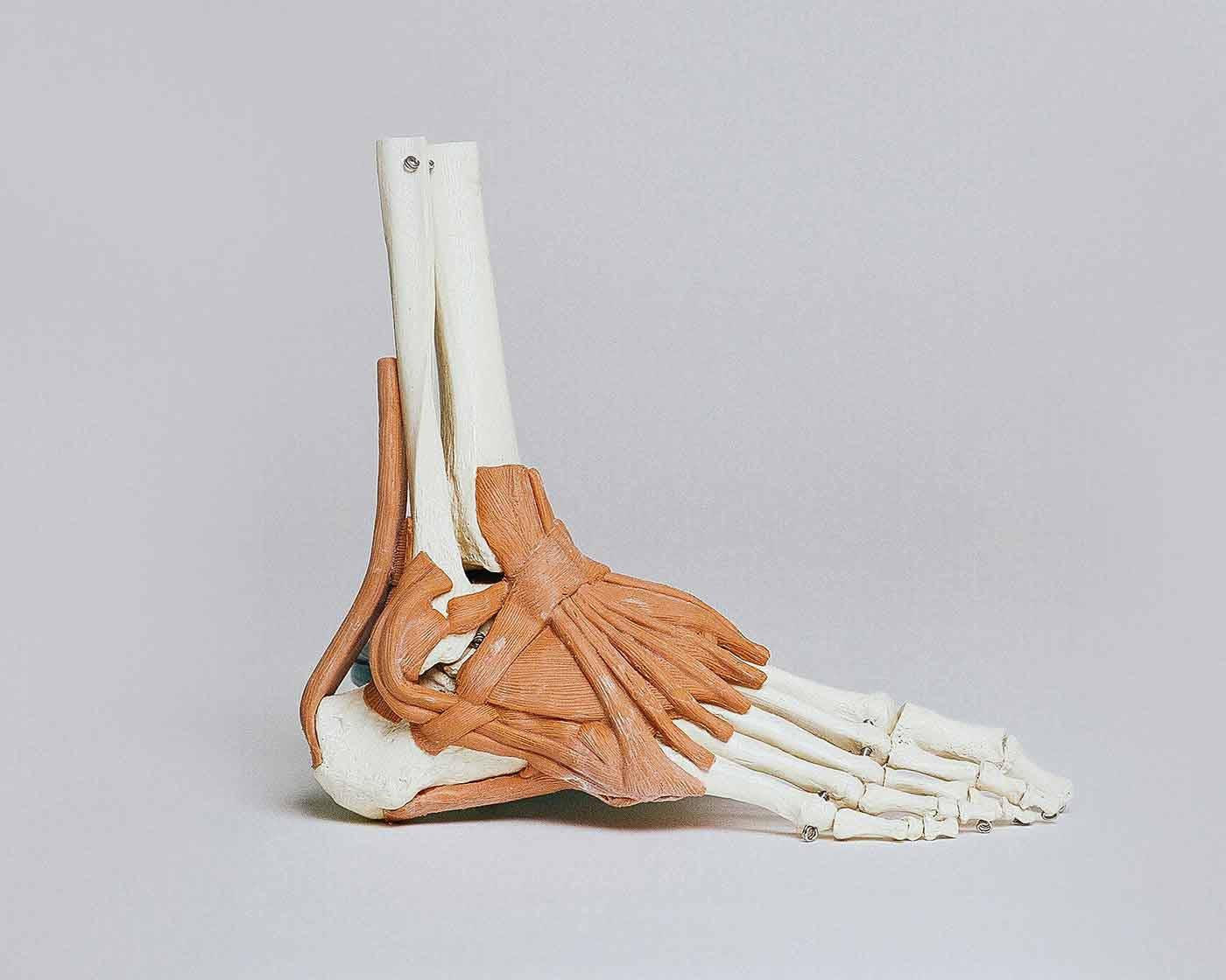 Podiatry and Chiropody Services